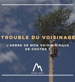 Risque de chute de l'arbre de mon voisin : quels recours judiciaires ?