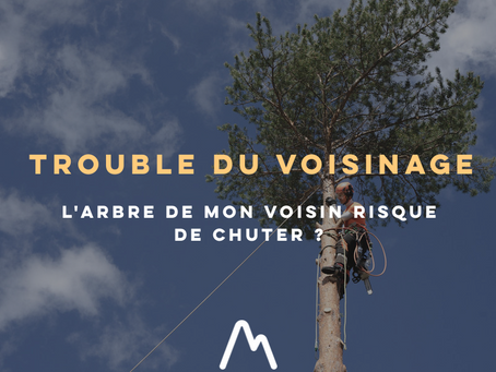 Risque de chute de l'arbre de mon voisin : quels recours judiciaires ?