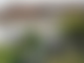 Illustration d'un trouble anormal de voisinage entre deux pavillons. Un homme sur sa terrasse se bouche les oreilles, gêné par les nuisances sonores et visuelles d'une pompe à chaleur défectueuse située chez son voisin, qui gesticule. Un panneau sur la clôture mentionne l'Article 1253 du Code civil.