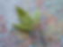 Merger & Acquisition Brokerage - Cannabis Businesses for Sale/JV/Partnership Opportunities