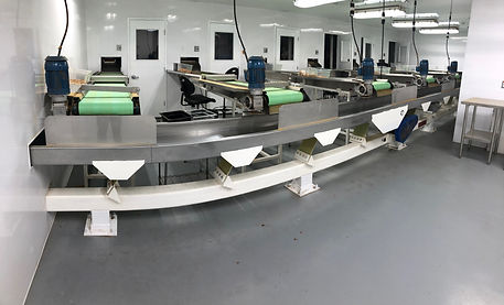 Inspection Line.jpeg