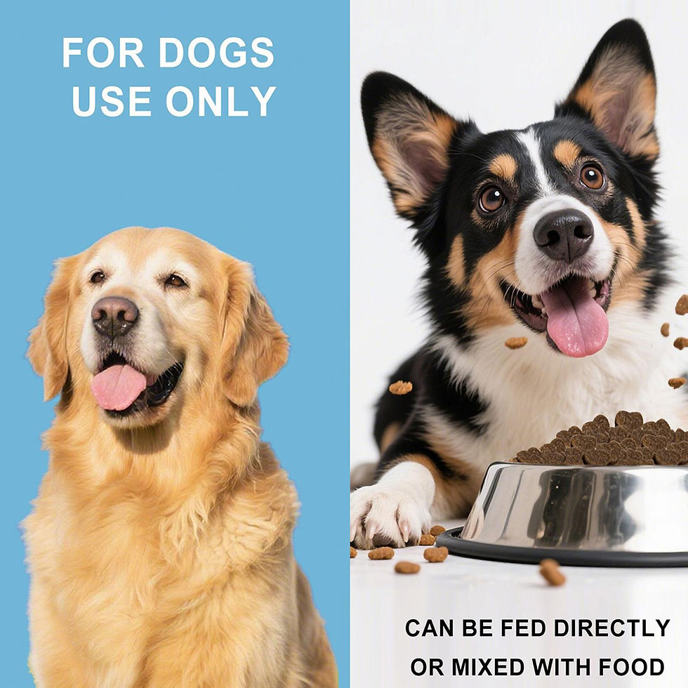 Thumbnail: Joint Support Chews for Dogs