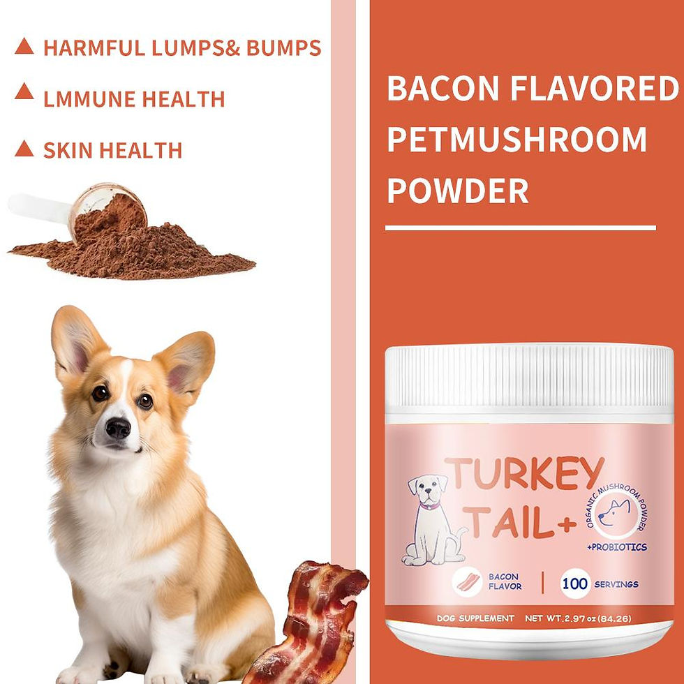 Thumbnail: Immune Support Mushroom Powder for Dogs & Cats