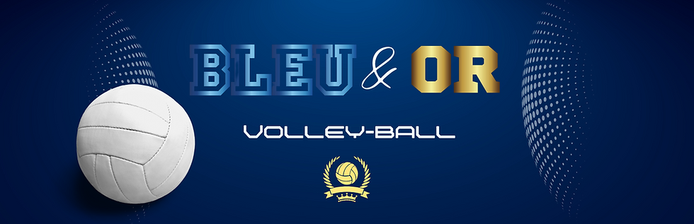 Blue Illustrated Volley Ball Ticket final 3.png