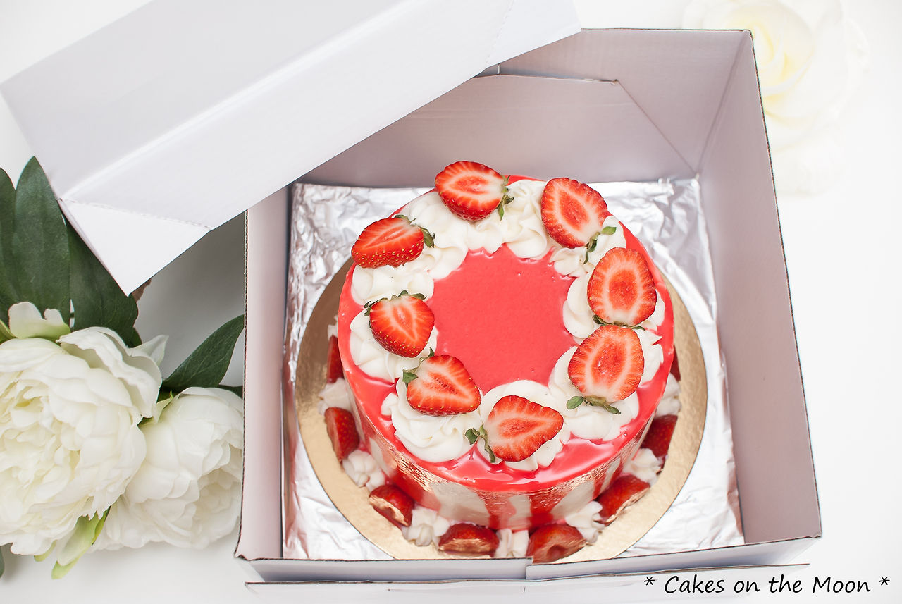 cakesonthemoon-10