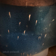 169C8CD6-F052-4A1F-BC70-E4A6AA192CA7.jpeg