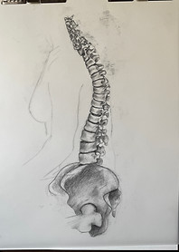 IMG_0995.jpeg