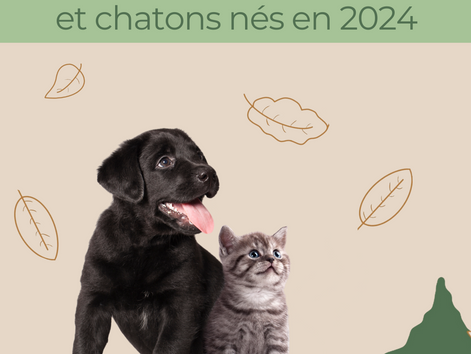 Noms en V pour les chiots et chatons nés en 2024