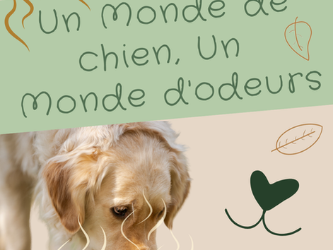 Un Monde de chien, un Monde d'odeurs