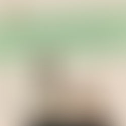 Choisir le bon professionnel pour vous accompagner dans l’éducation ou la rééducation de votre chien