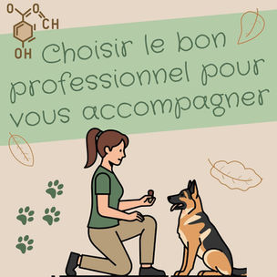 Choisir le bon professionnel pour vous accompagner dans l’éducation ou la rééducation de votre chien