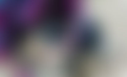 Eduquer, Rééduquer son chien : Un travail d'équipe !