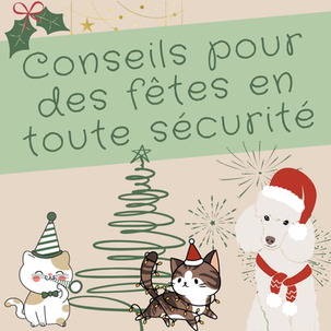 Conseils pour des fêtes de fin d'année en toute sécurité pour vos chiens et chats