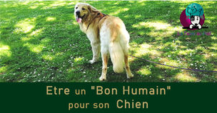 Etre un "Bon Humain" pour son Chien (son chat,...)