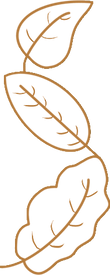 Logo de La Team au Poil éducateur comportementaliste canin et félin en Normandie - Seine Maritime - Eure. (Le Harve, Montivilliers, Sainte Adresse)