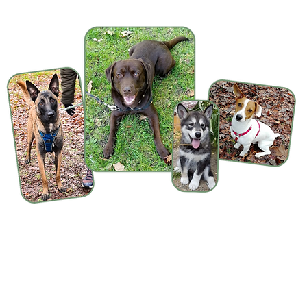 Design sans titre (9).png