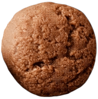 SintOosterhout_Pepernoot2 2_edited.png