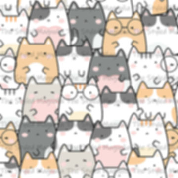 CUTE KITTIES