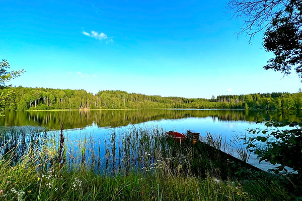 Lakeside Reflections: Beratungsangebot direkt am Nysjön-See im schwedischen Bortan