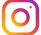 IG Icon