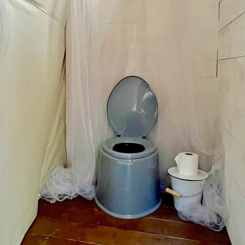 Indoor Loo
