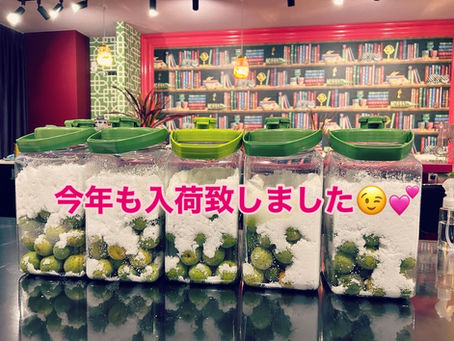 今年も青梅、入荷です🥰