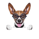Afbeelding1(2).png