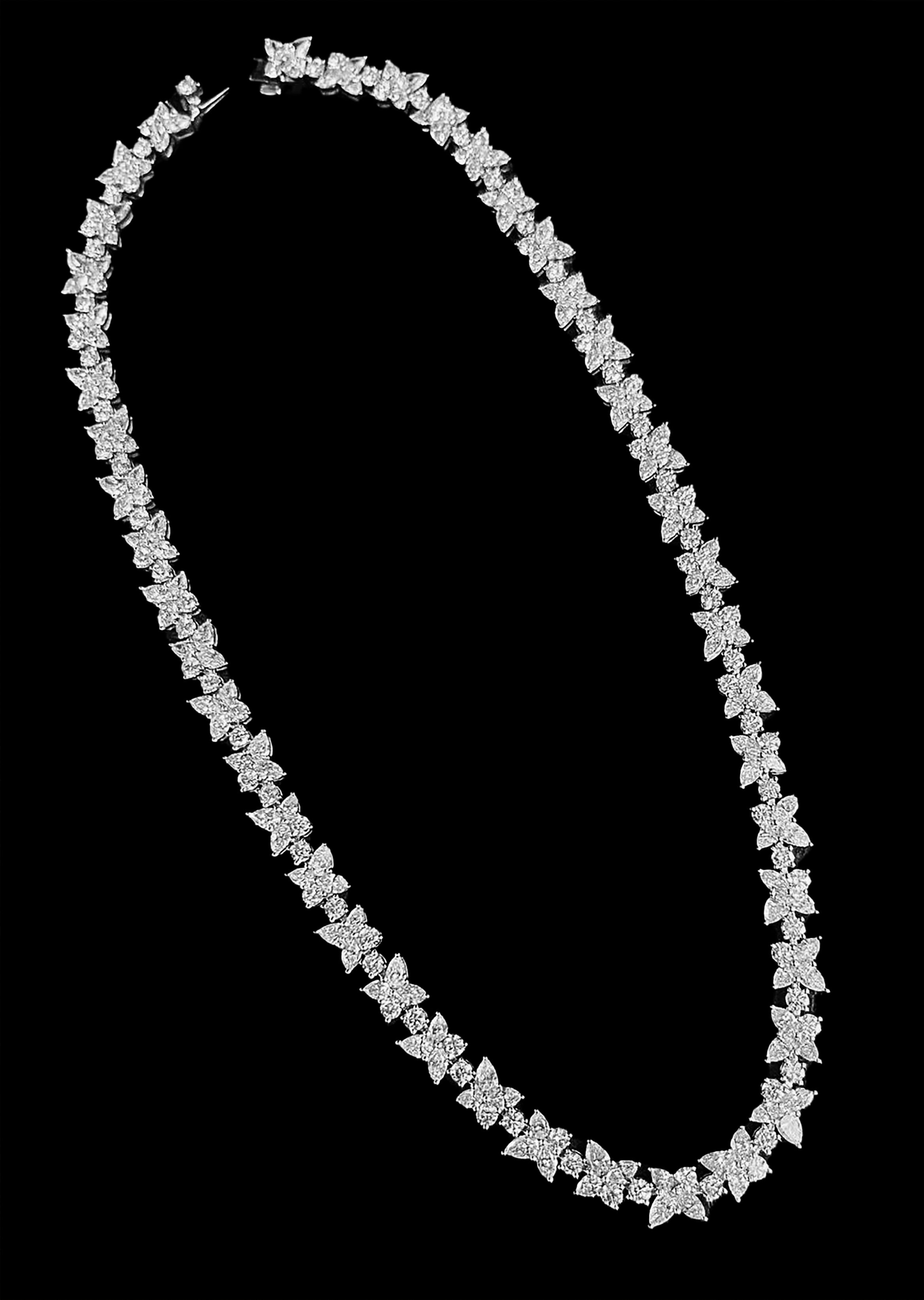 X STARY NIGHT COLLIAR