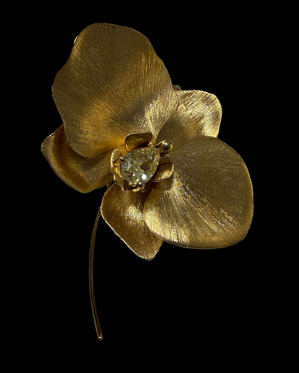 Miniatyrbilde: X Golden Orchid