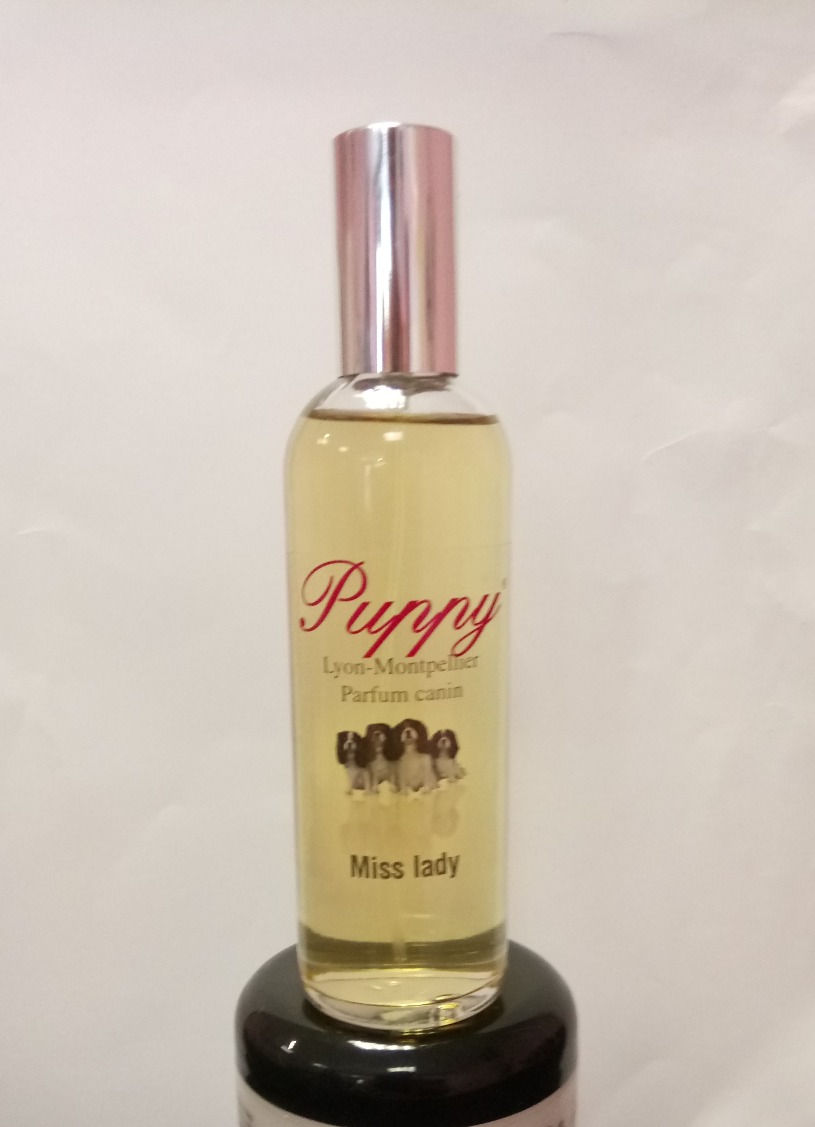 Miniature : Parfum "MISS LADY "