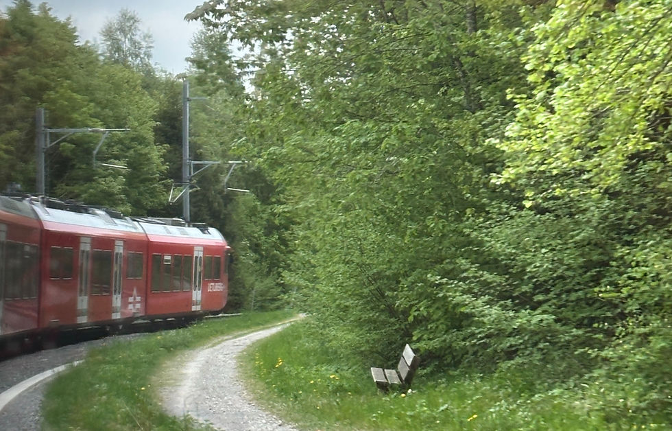 Two Days in Zurich