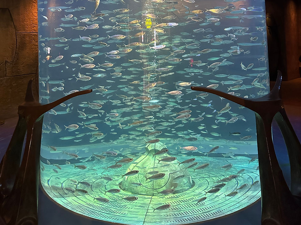 Kid Friendly Dubai Attractions