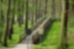 Ozeanbrücke bei Harpstedt