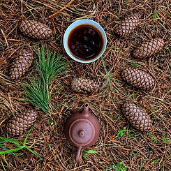 ChatGPT Image Dec 25, 2025, 05_40_03 PM.png