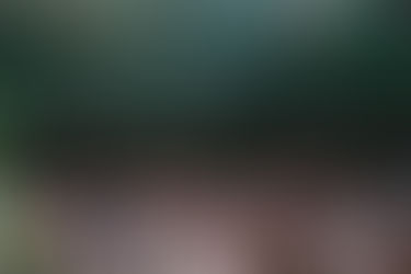 Fresh Expressions of Church: The Missionary Holy Spirit Goes Ahead of Us