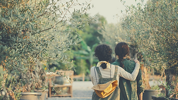 Banner1.png