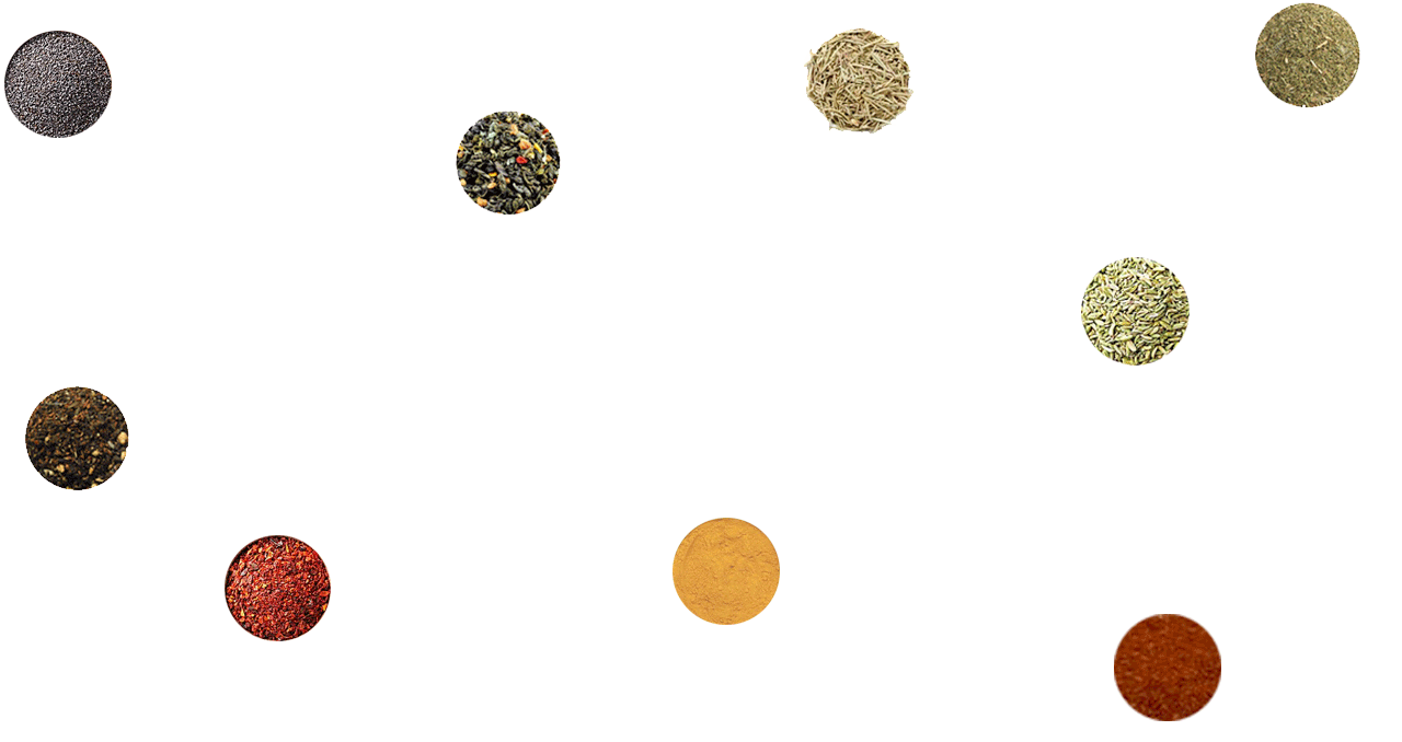 HEADER_Olaya_-B.png