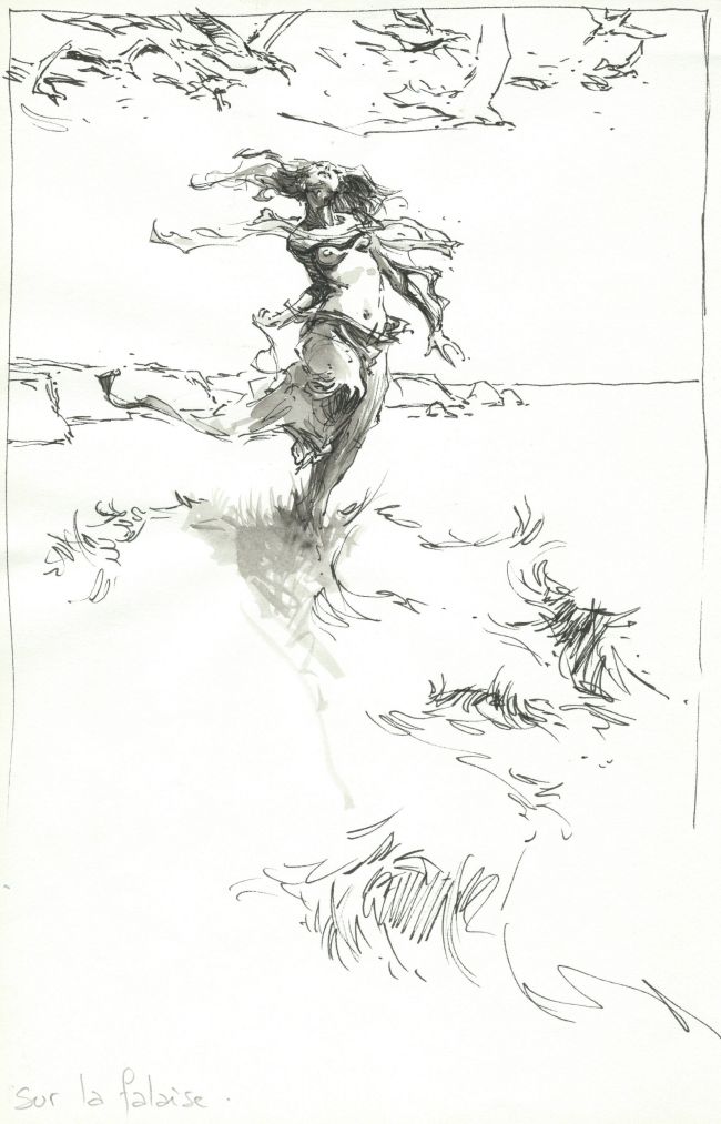 Sur la falaise