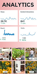 Professional social media analytics dashboard showing key metrics, created by Ronda Media in East Stroudsburg, PA