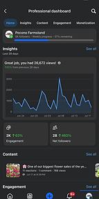 Social media engagement metrics dashboard showcasing audience interactions, created by Ronda Media in East Stroudsburg, PA