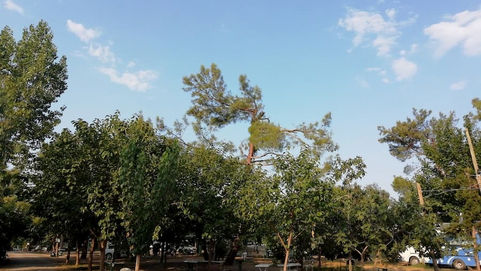 YİLDİRİM CAMPİNG