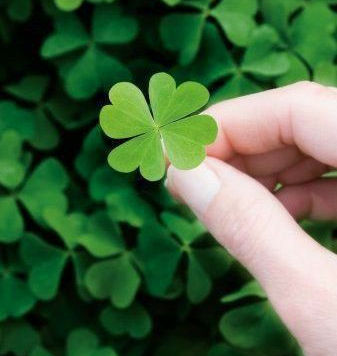 Değerli Hissetme Denklemi |☘️|=🍀