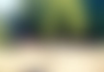 TAVUS KUŞU CAMPİNG