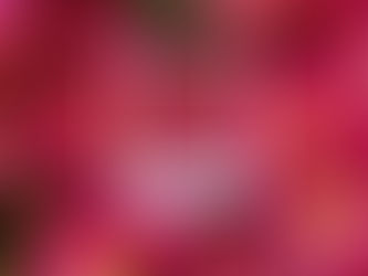 TSC - Geburtstagskinder | November