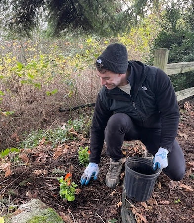 Leschi Natural Area Planting Party - Seattle Forest Week