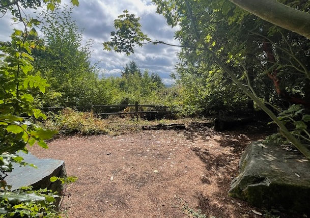 Leschi Natural Area Work Party!