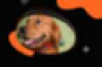 webpage_slide0_nav04_slide01.jpg
