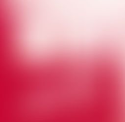 B Capital desde adentro