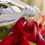 Thumbnail: Inuyasha