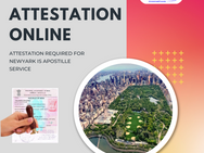 Exploring the Types of HRD Attestation Online: Which One is Right for You?